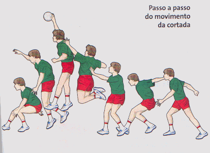 Sistema de Troca de Papeis e seus Respectivos Subpapeis no Voleibol.